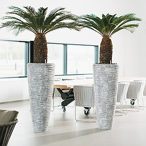 Flora Concept plantes originales interieur 3