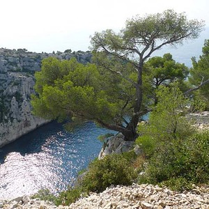 Flora_Concept_Article_Parcs_Nationaux_2