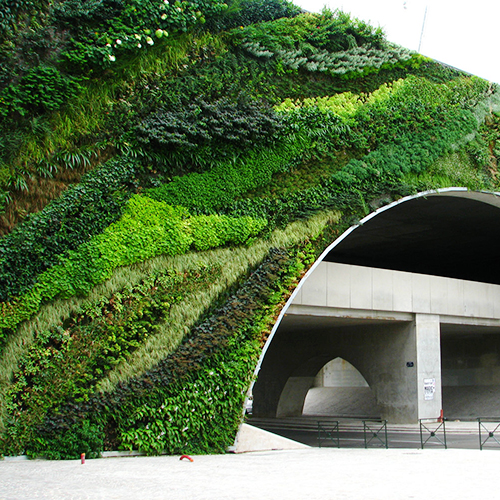 Nature en ville 2