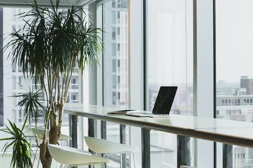 Flora_Concept_Plantes_Bureau_2