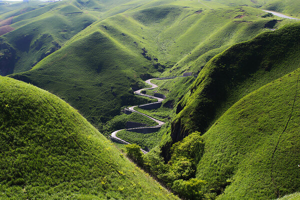 Flora_Concept_ecotourisme