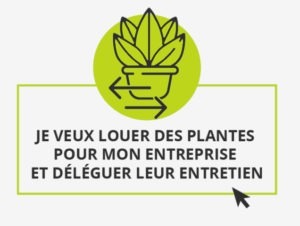 location de plantes pour décoration végétale