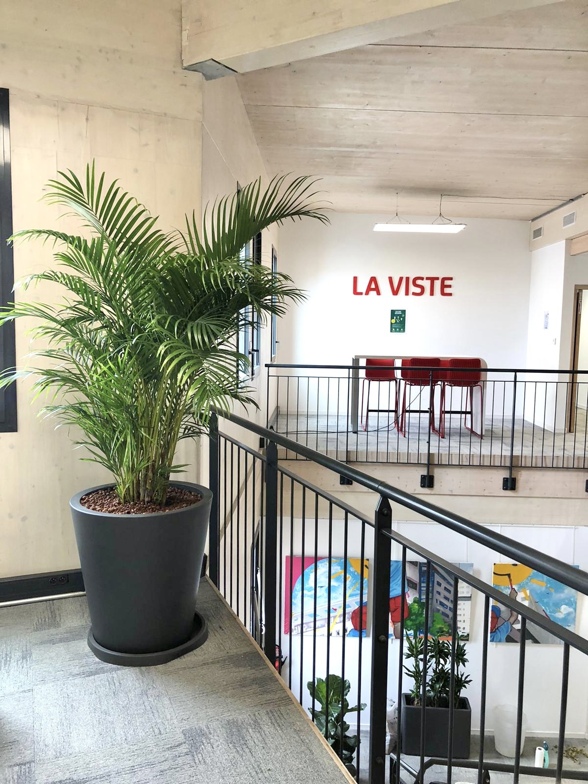 bac gris avec Areca