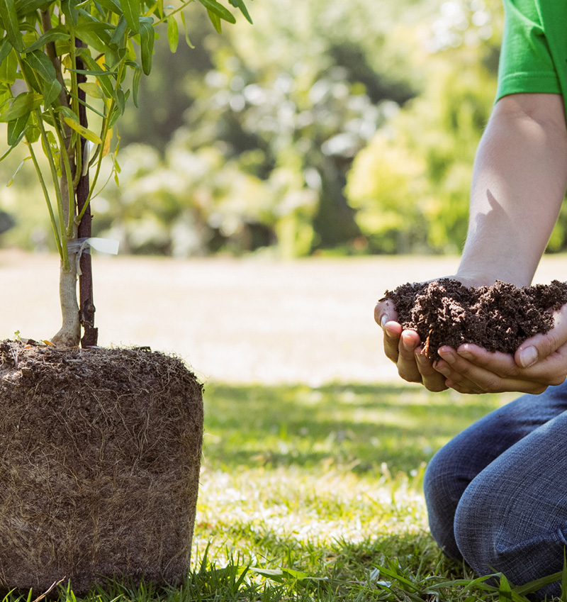 terreau plantes paysagiste engagé