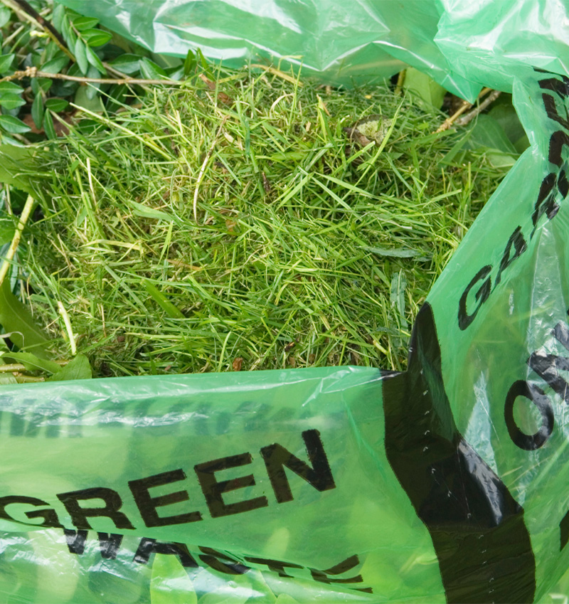 herbe paysagiste engagé