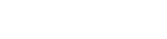 light logo