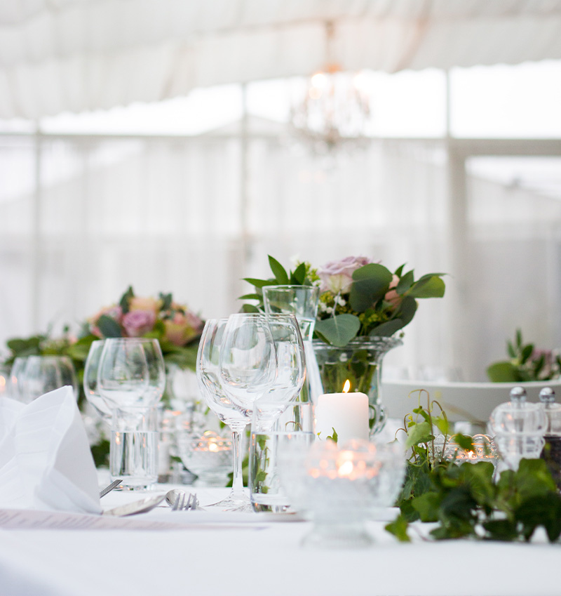 table avec location de bac et plantes