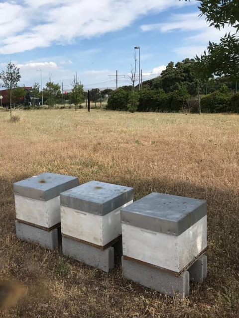 installation ruches en entreprise