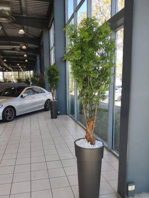 arbres artificiels dans la concession Mercedez-Benz