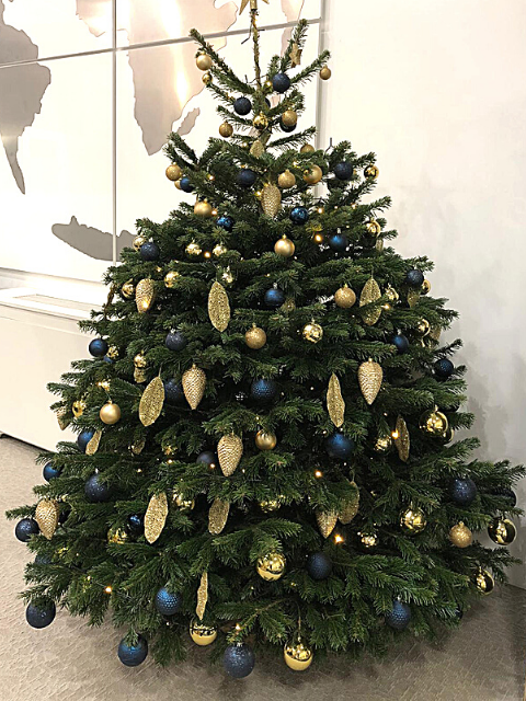 Installation et décoration d’un sapin de noël