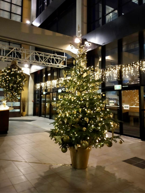 Installation et décoration de sapins de noël Marseille