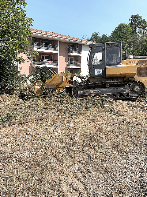 élagage dans le Vaucluse