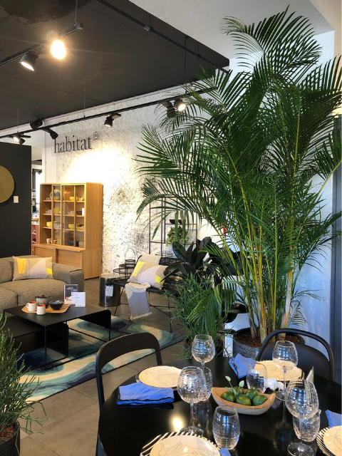 décoration végétale magasin habitat paysagistes d'intérieur